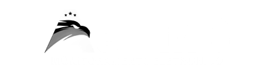 A3